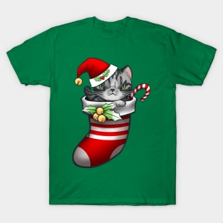 Vanilla the silver tabby cat in a stocking for Christmas T-Shirt